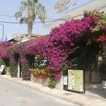 Harry's Bar & 1 3*